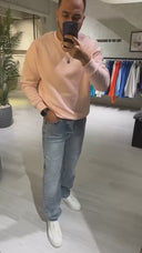 Men's Crew Neck Basic Sweatshirt In Simon